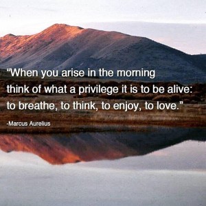 arise