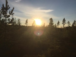 solnedgång